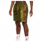 Bermudas GRIMEY Midnight Chameleon Green